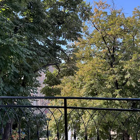 Sun In The Heart Of - Location - Free Private Parking *