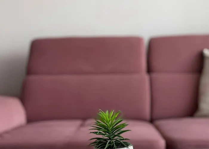 Sun In The Heart Of - Location - Free Private Parking 公寓